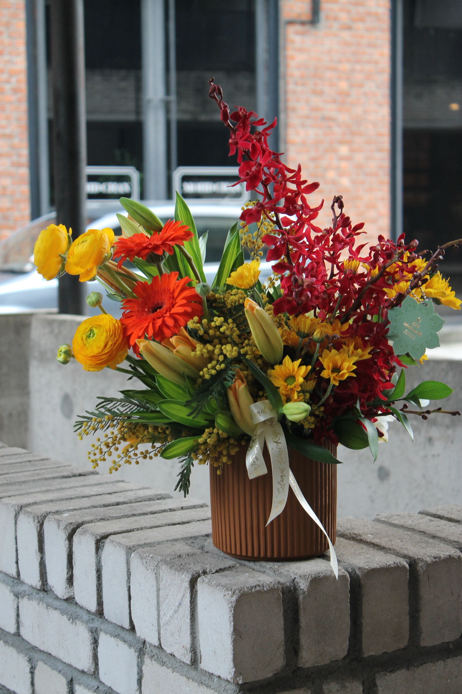 image_638A3D01-8C72-4CC7-AA31-744E02012221_1743246469