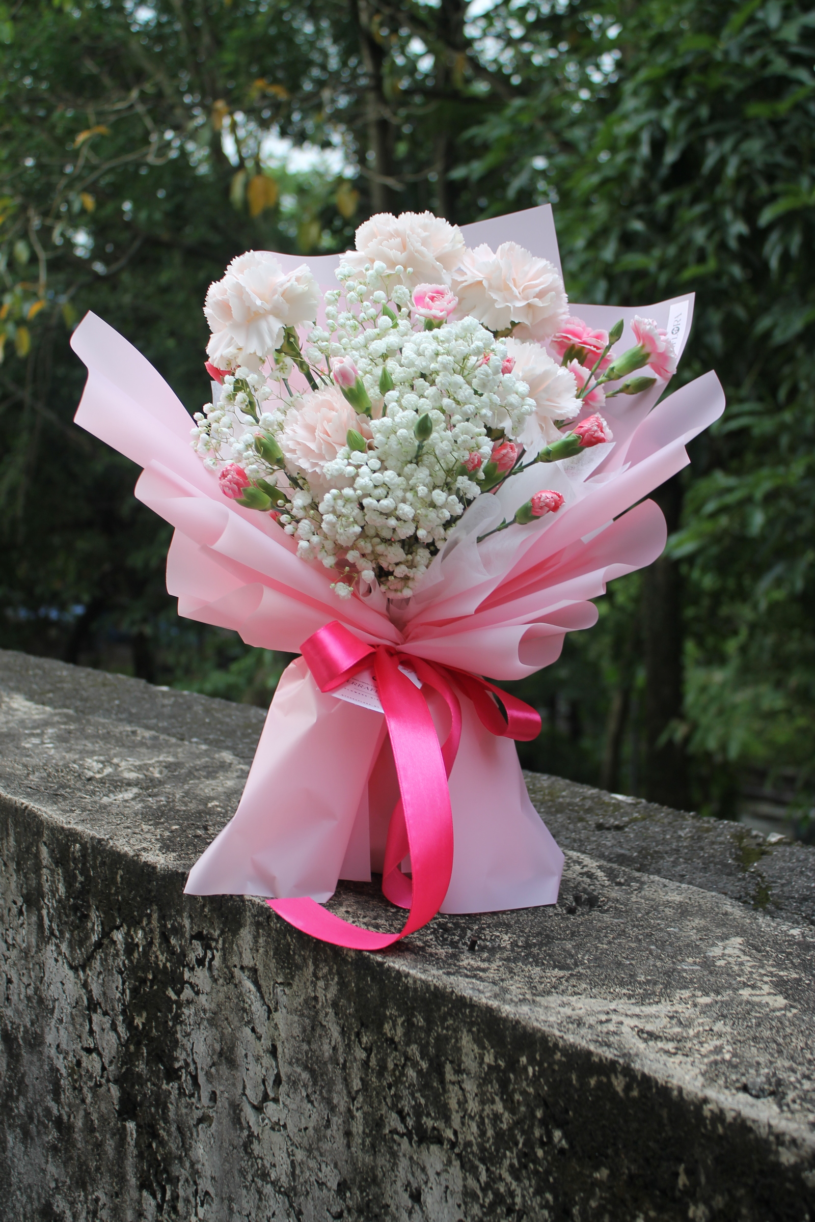image_C32CBD06-8F1A-4C6D-9ECD-E2930DE296B7_1746750781