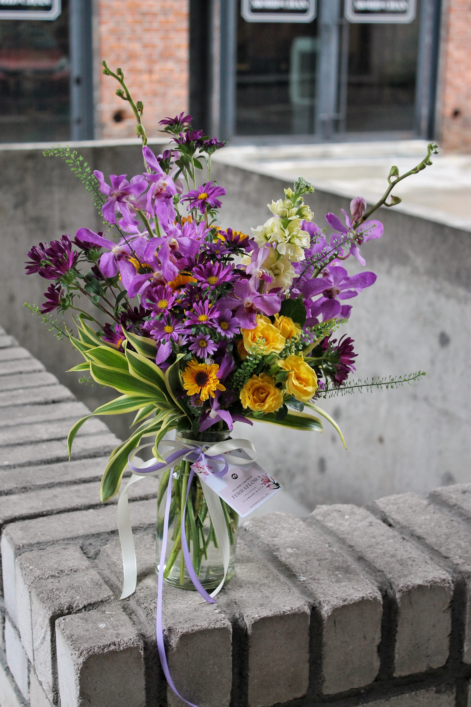 image_2D1D3422-0DD0-4EDA-94C2-9675D08A8DFC_1751451924