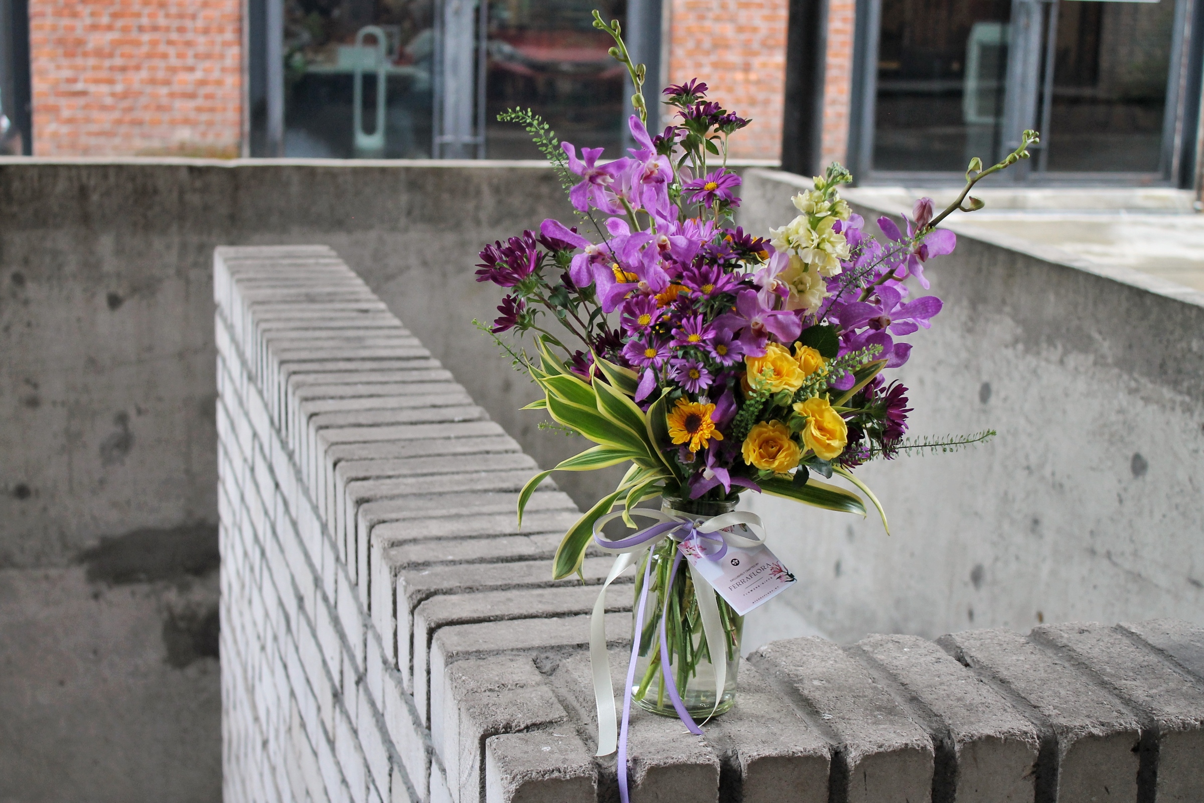 image_63F31D40-A10B-4671-B41B-E0E0A099D8CC_1751451924