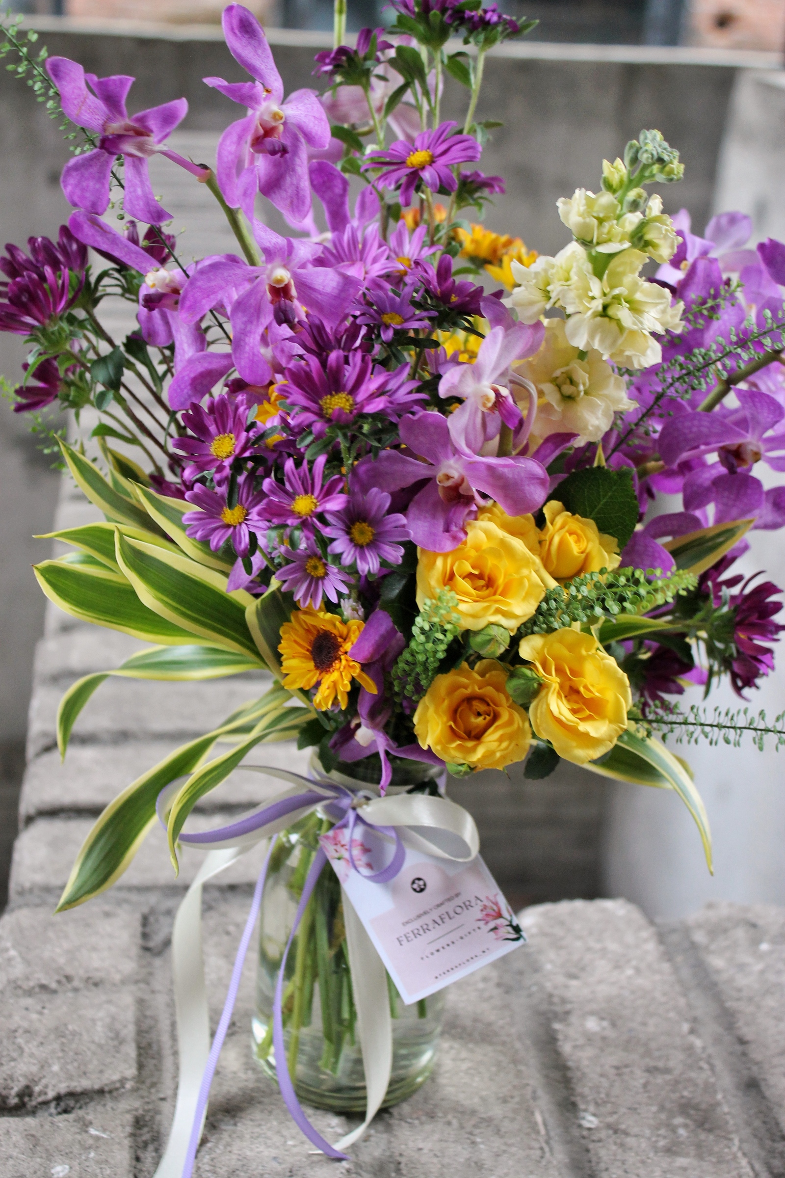 image_F2412FC0-E005-4248-8E79-5BF3F3606F8B_1751451924