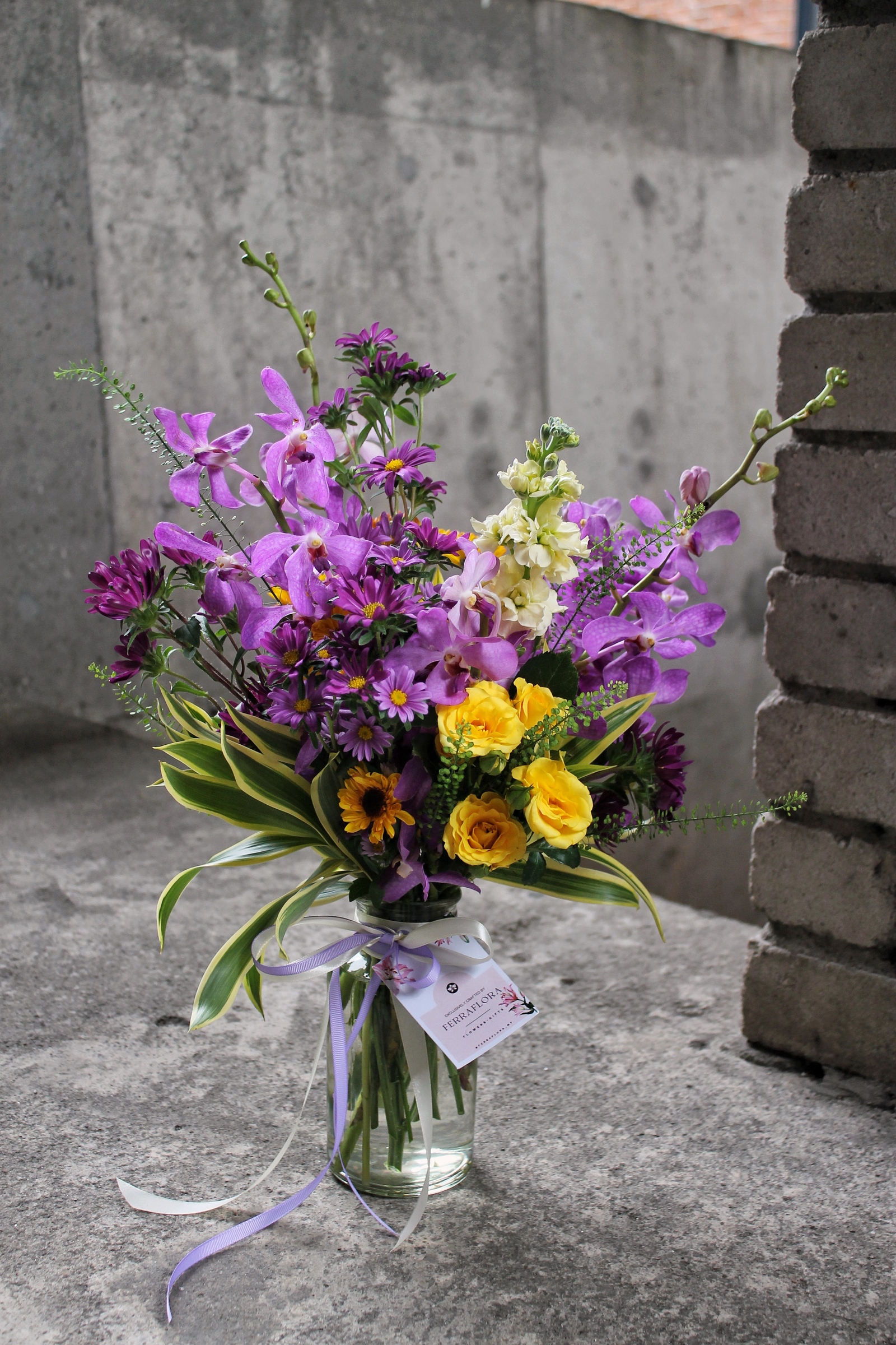 image_BC964E25-107C-4540-9DF3-D7B69B6F2CC8_1751451924