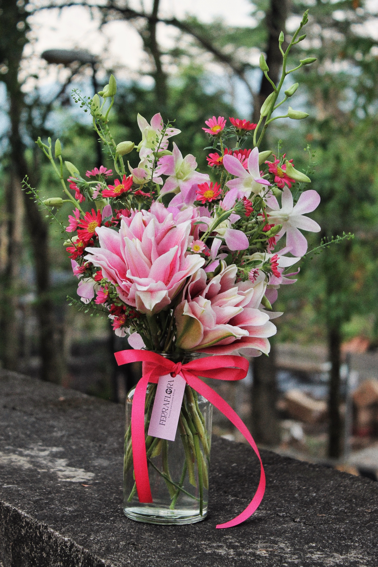 image_5D8C0626-4581-45AE-9DFB-3BAF97F5C937_1753374672