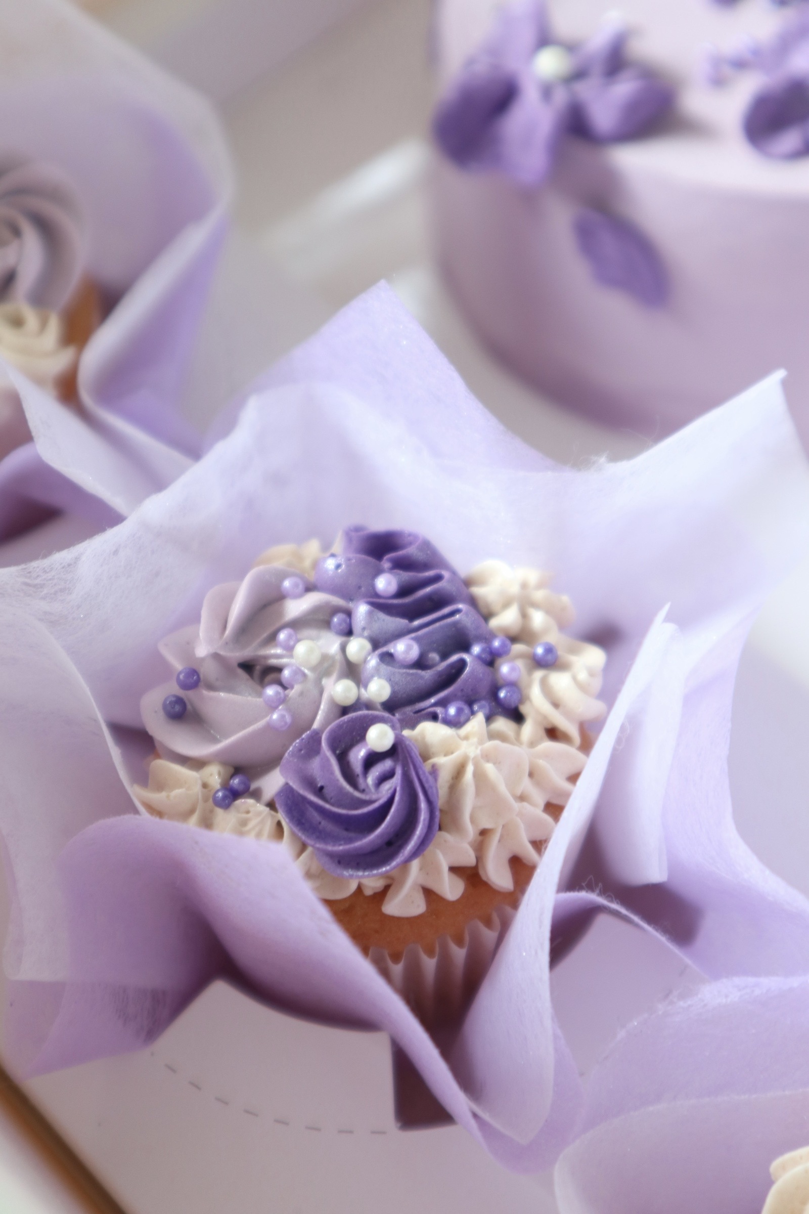 image_71C9FEBA-FAF1-4715-9175-A174550B5A09_1755731395