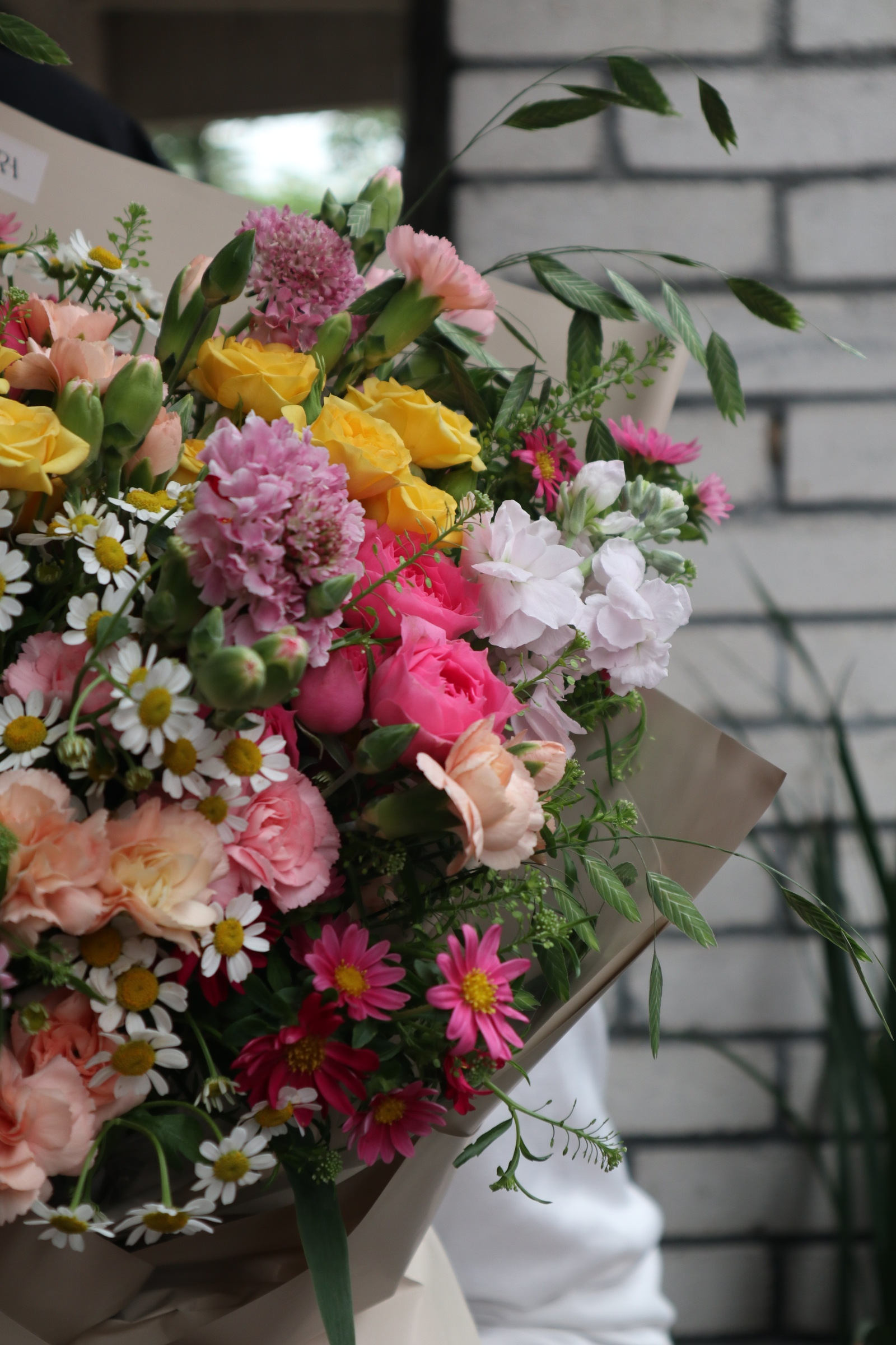 image_12A5E359-12BD-4119-9BC8-4F1E5C2D59C0_1757618735