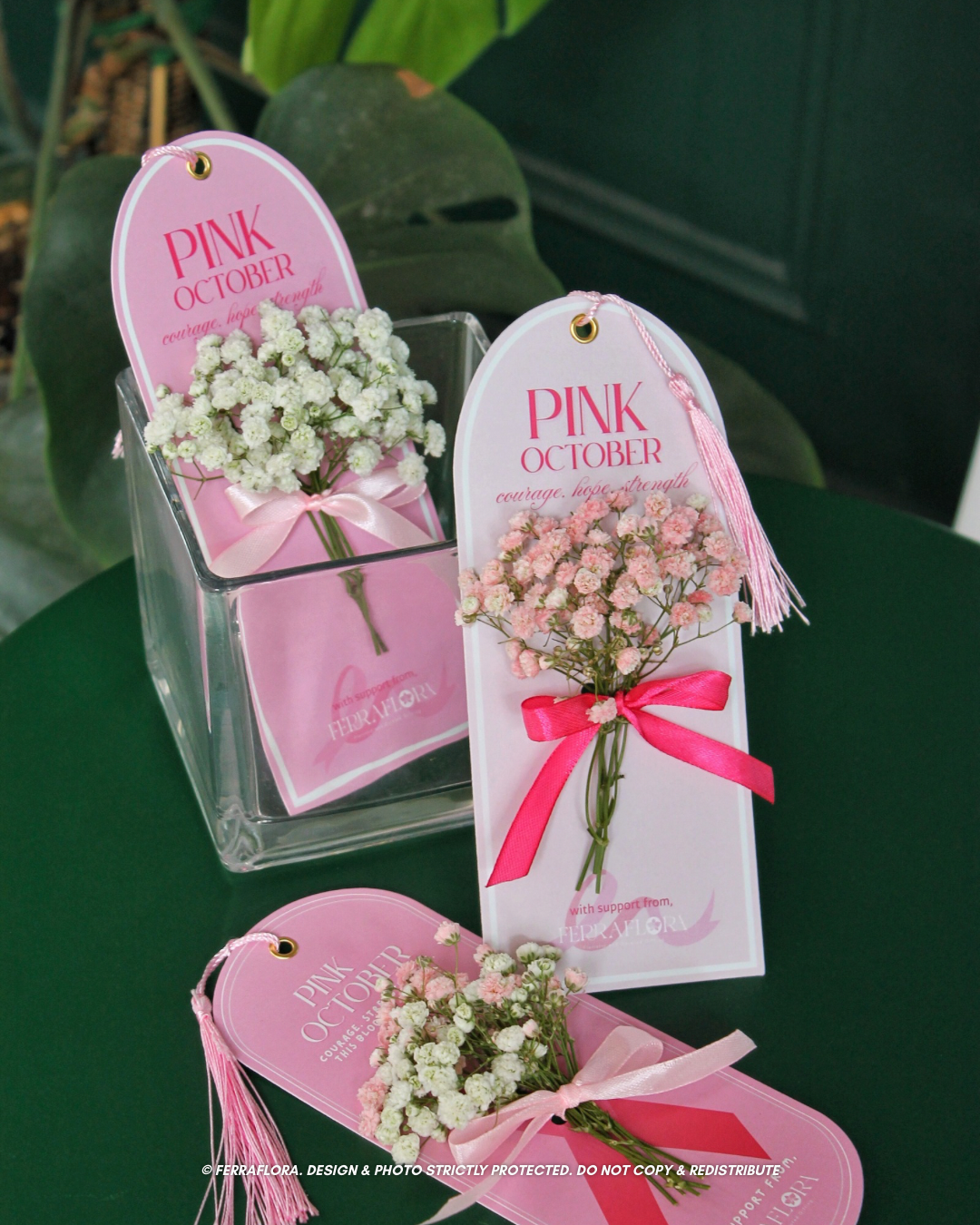 image_B583ED0C-8BAC-4917-A03D-D8DB827D7A7A_1759411667