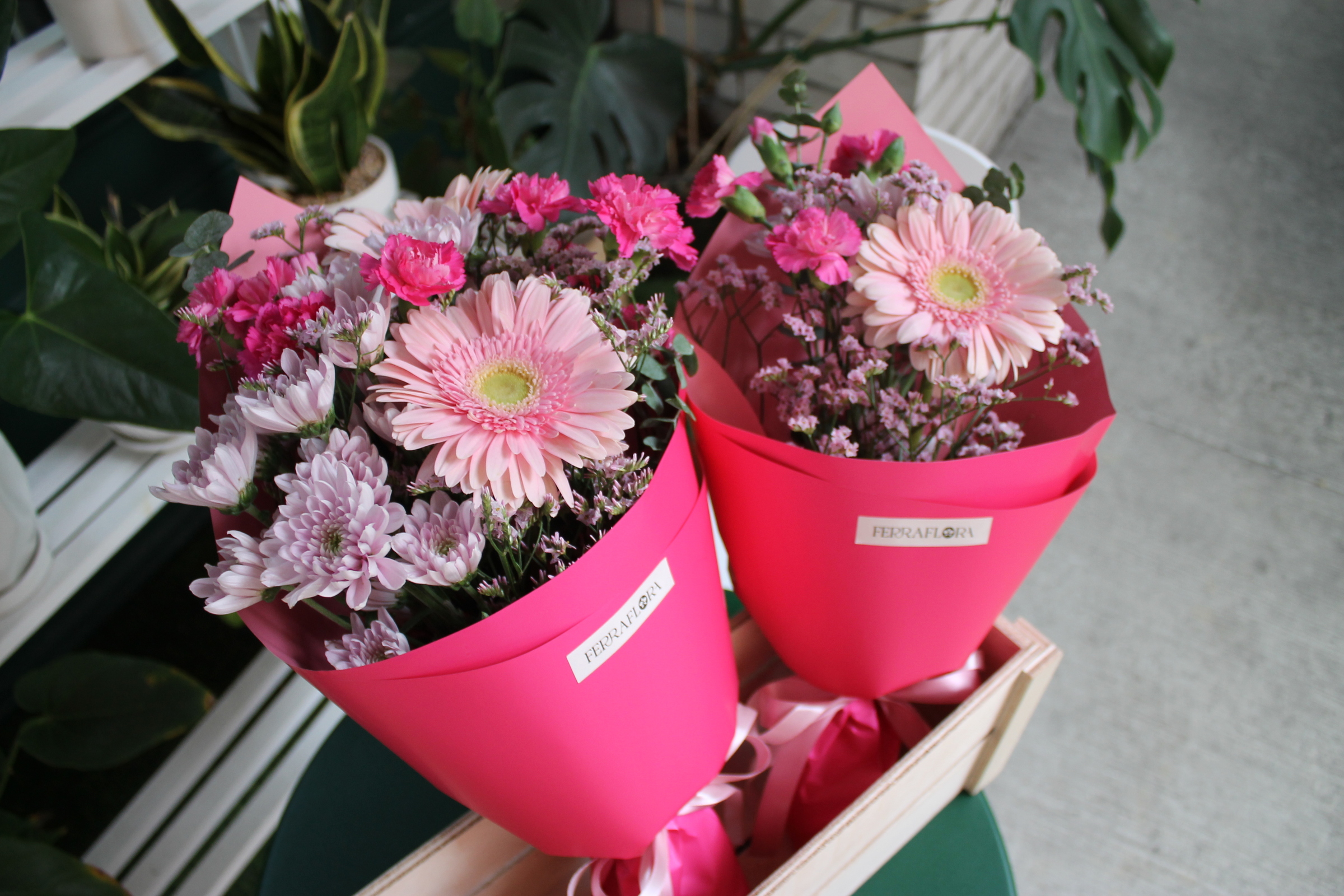 image_37C2C44C-647D-49EE-93FC-C559F2AA65BC_1759807094