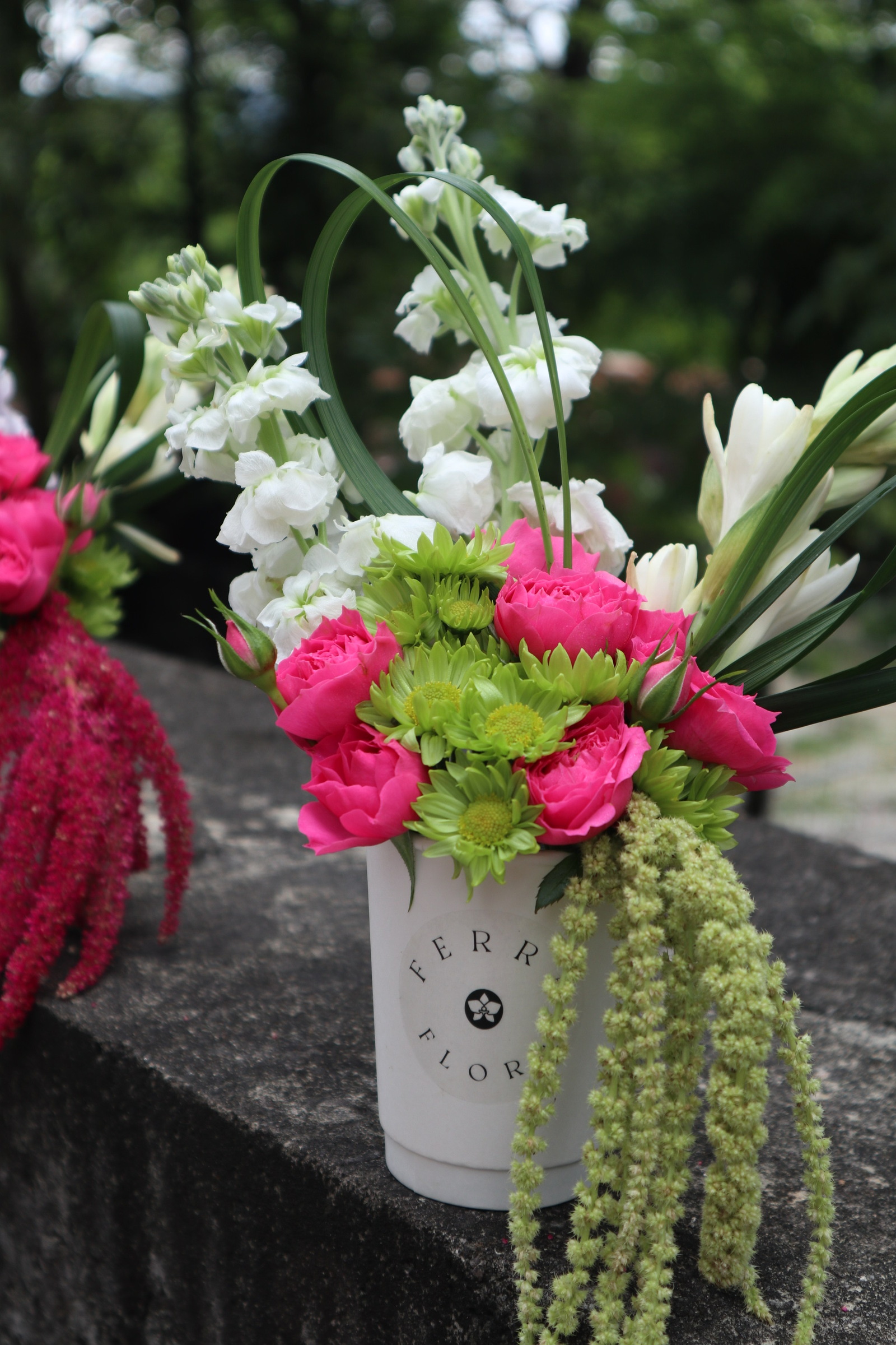 image_33902ED8-9222-43B8-9606-0E75CDF310DD_1760164777