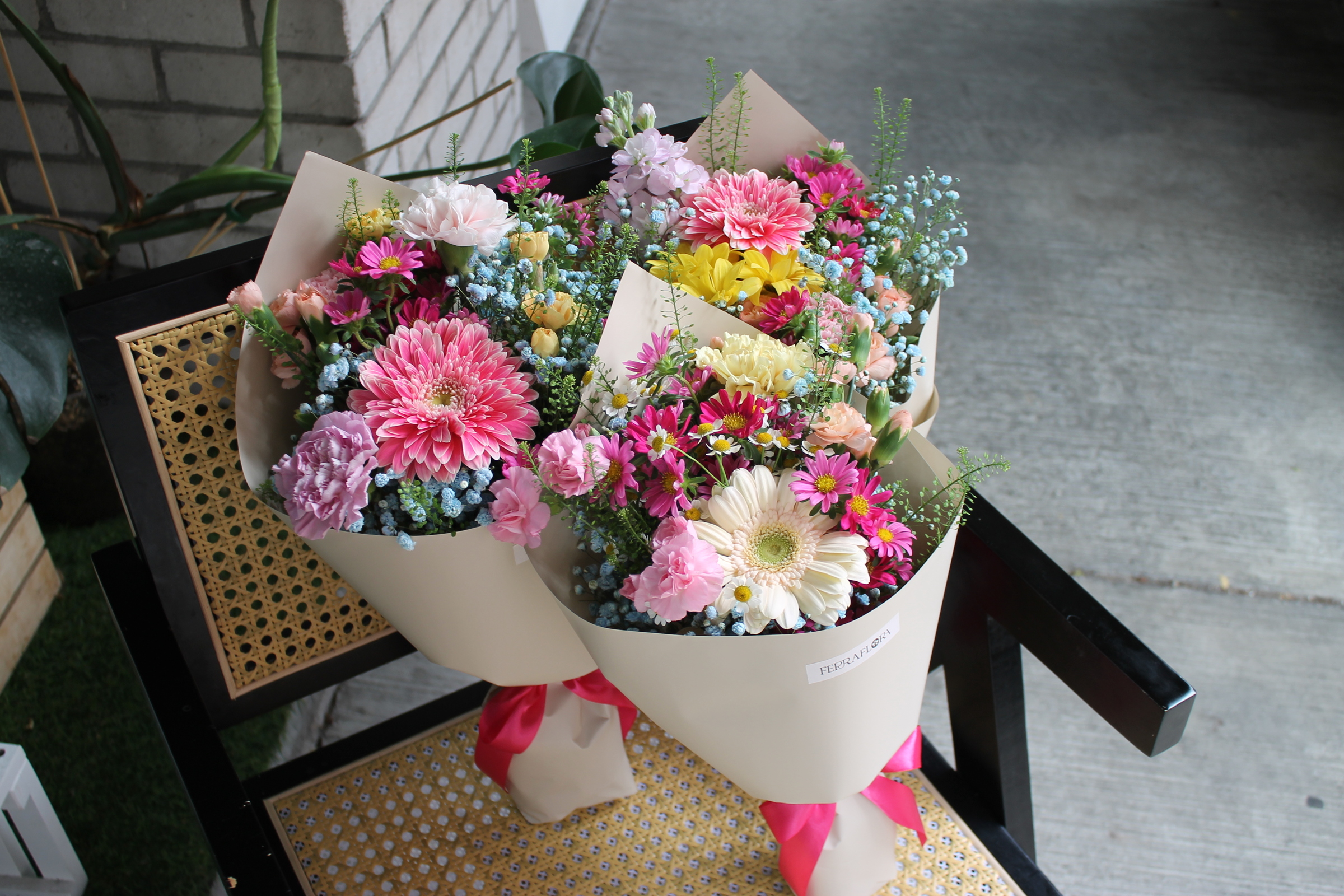 image_87F83771-7071-4911-8346-AFF3756C81F1_1760663767