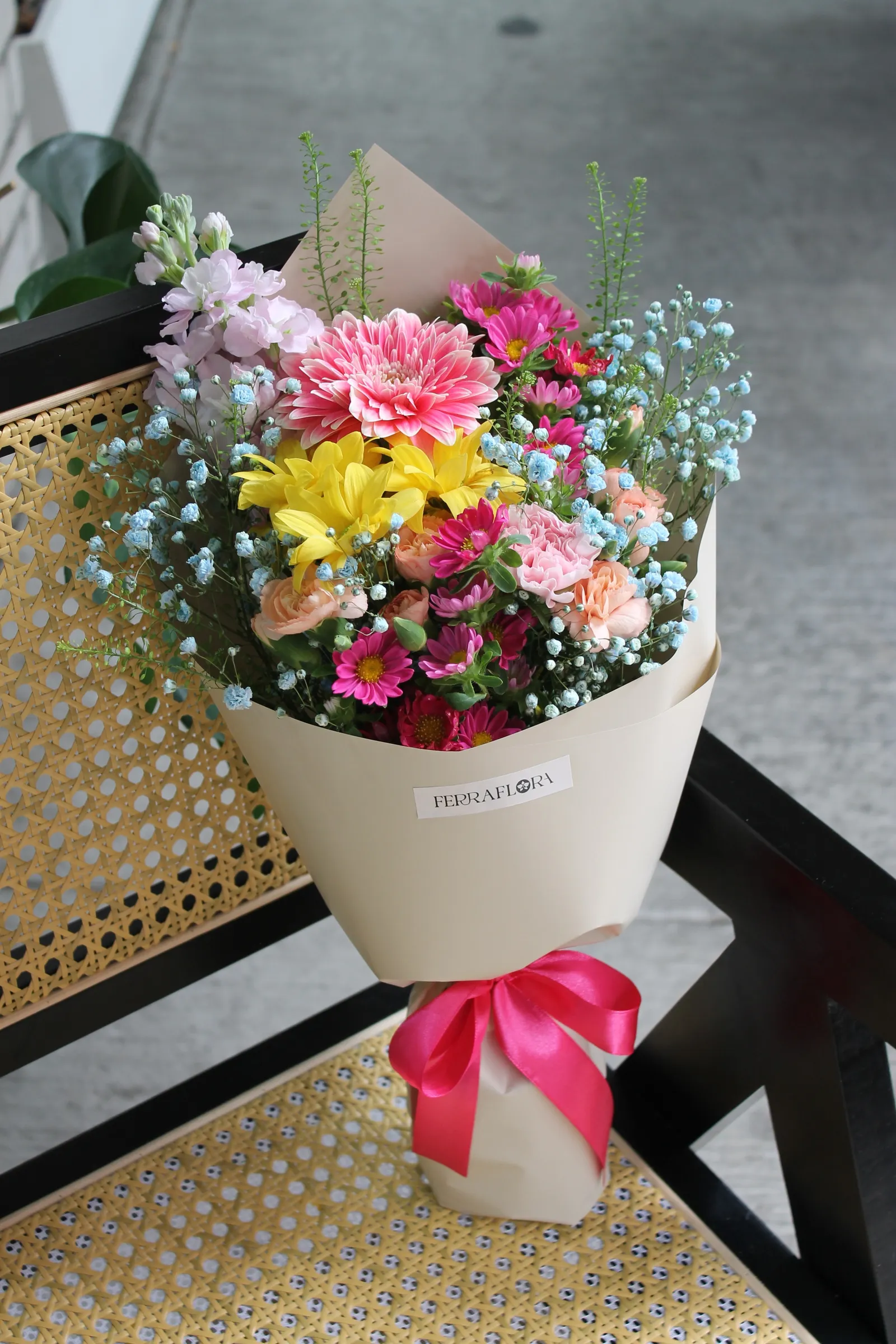 image_15D733C1-E7D5-403B-8858-C078B232B0A9_1760663767