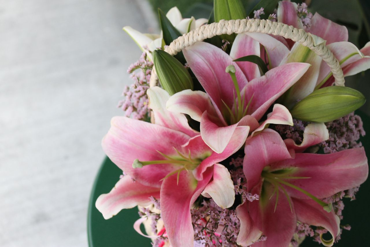 image_805C52F3-AD66-4924-8453-68089FD99DCE_1761561488