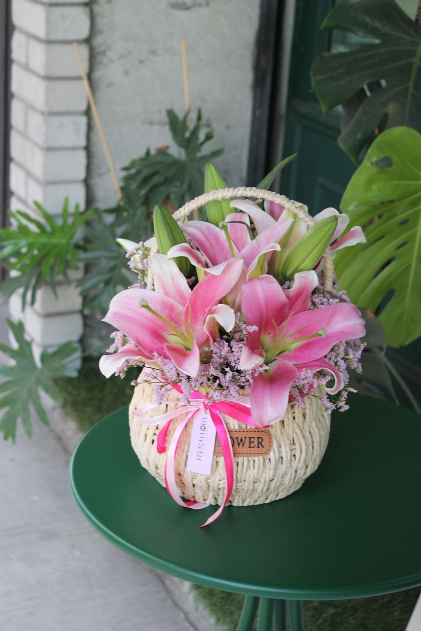 image_545CBF8A-EFB5-4F52-8828-77B89459A776_1761561488