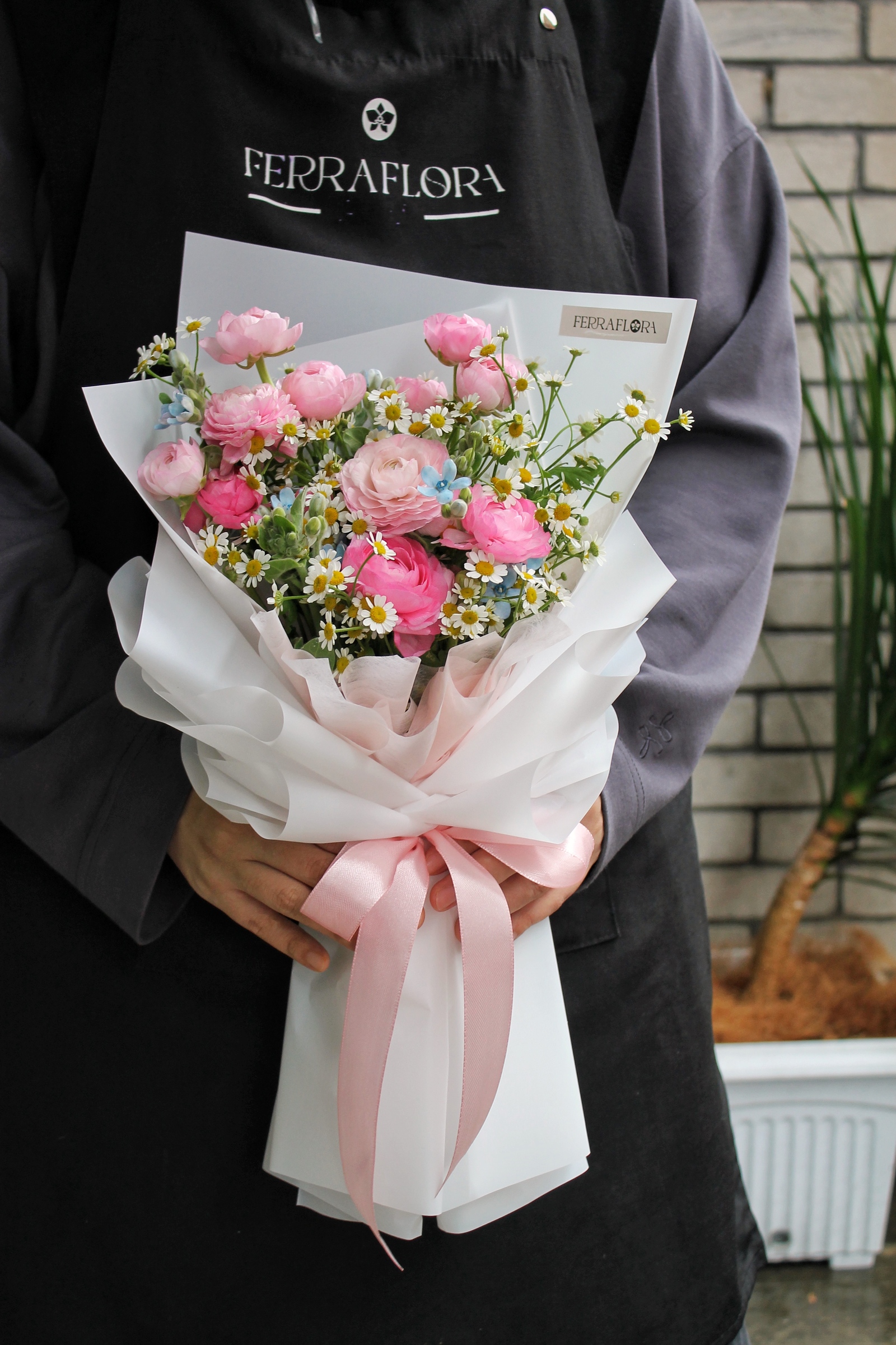 image_3CFA8641-4FFC-48BE-AED0-01E8D5E33303_1761561647