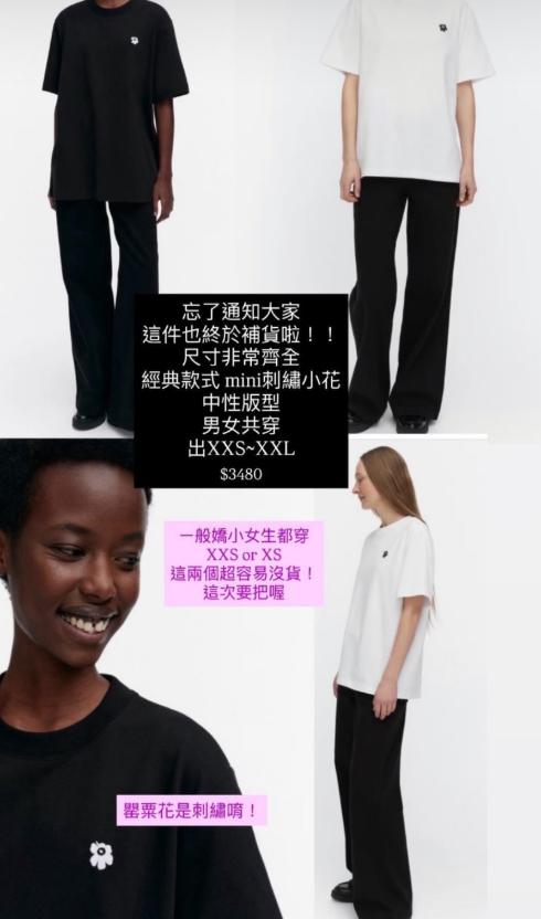 截圖 2026-10-24 19.49.00