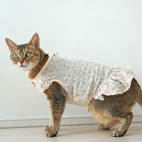 tw-11134207-7rase-m3khp19cyahm9c