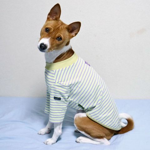 tw-11134207-7rasc-m3ki9yxi1oif01