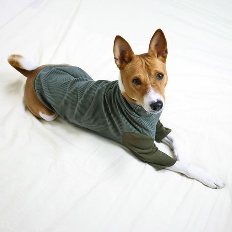 tw-11134207-7rasl-m3kiho1qimwdab