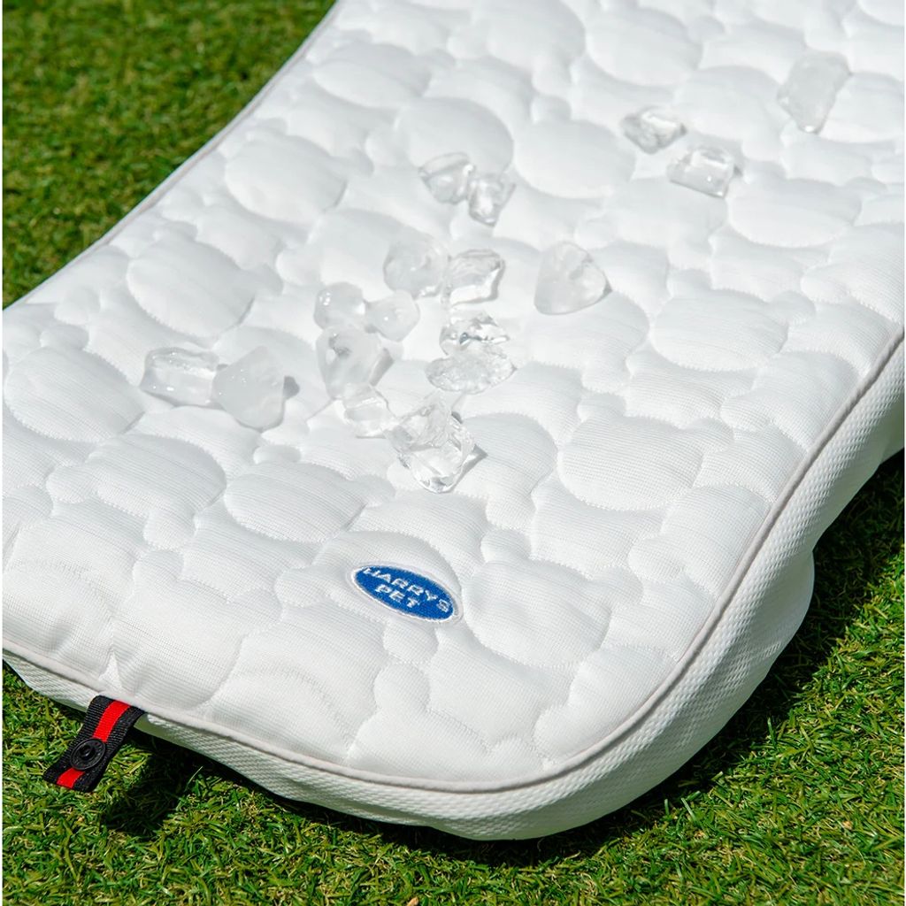 tw-11134207-7rasm-m0esj7f6hgx3e9