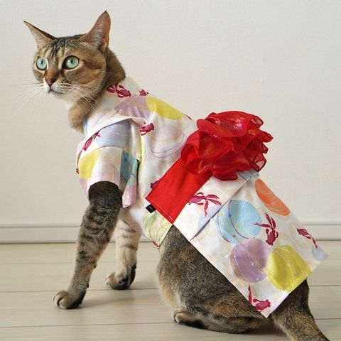 tw-11134207-7rasb-m3ki44v7g5f152