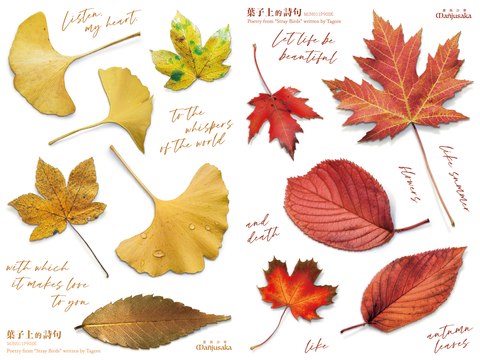 011-leafs