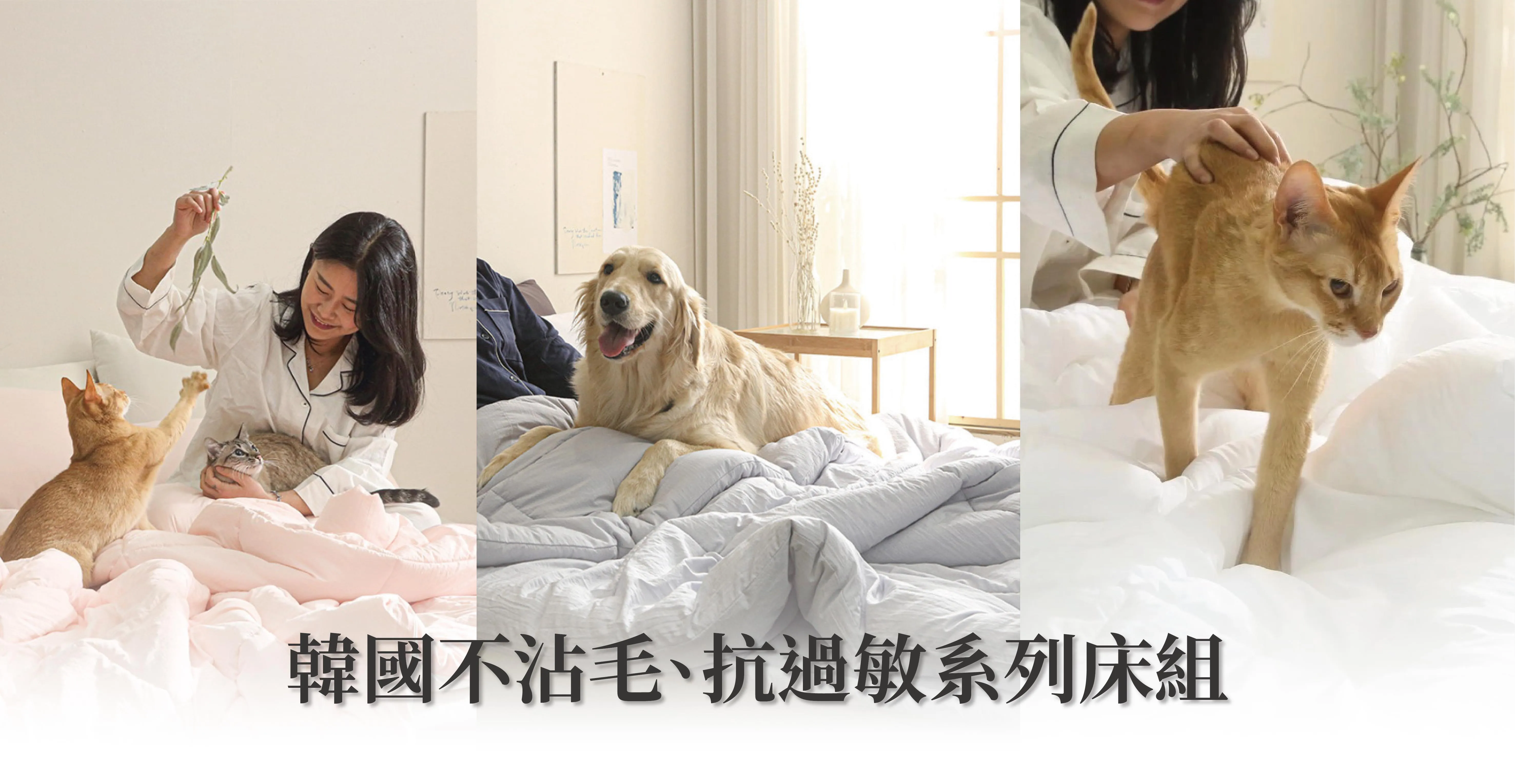 熱銷！好的睡眠品質從這開始！ | LUCNSelectShop｜路西恩寵物選品