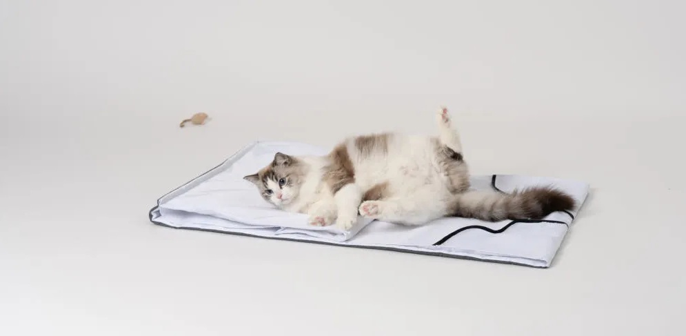 遊戲互動墊 | LUCNSelectShop｜路西恩寵物選品