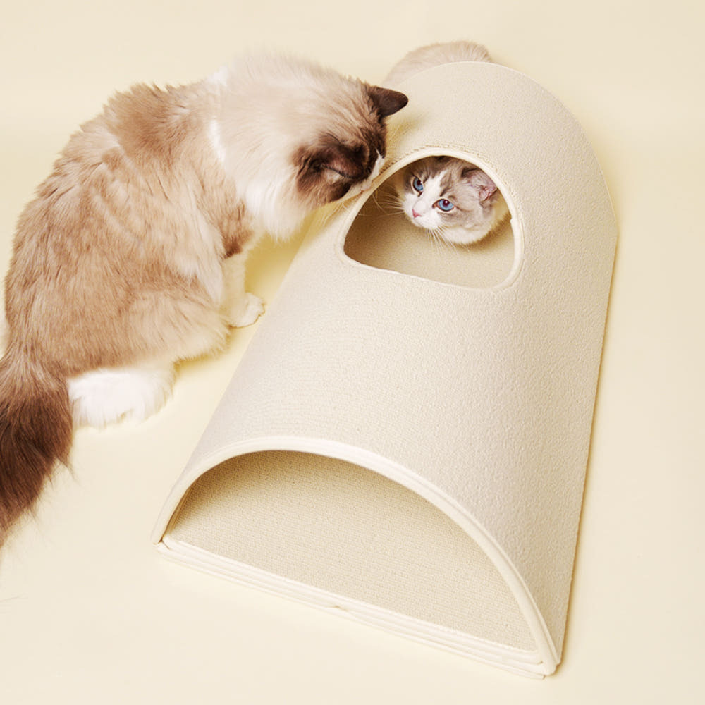 image_8F266256-3EC3-4F62-8F65-A184C783AF69_1772795397