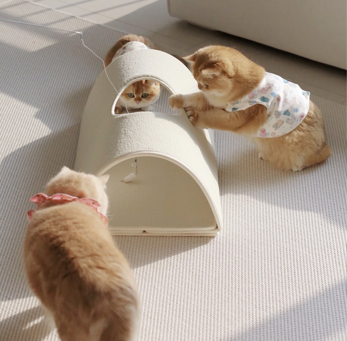 image_5E860795-D559-4321-8F61-268E23BD722C_1772795397