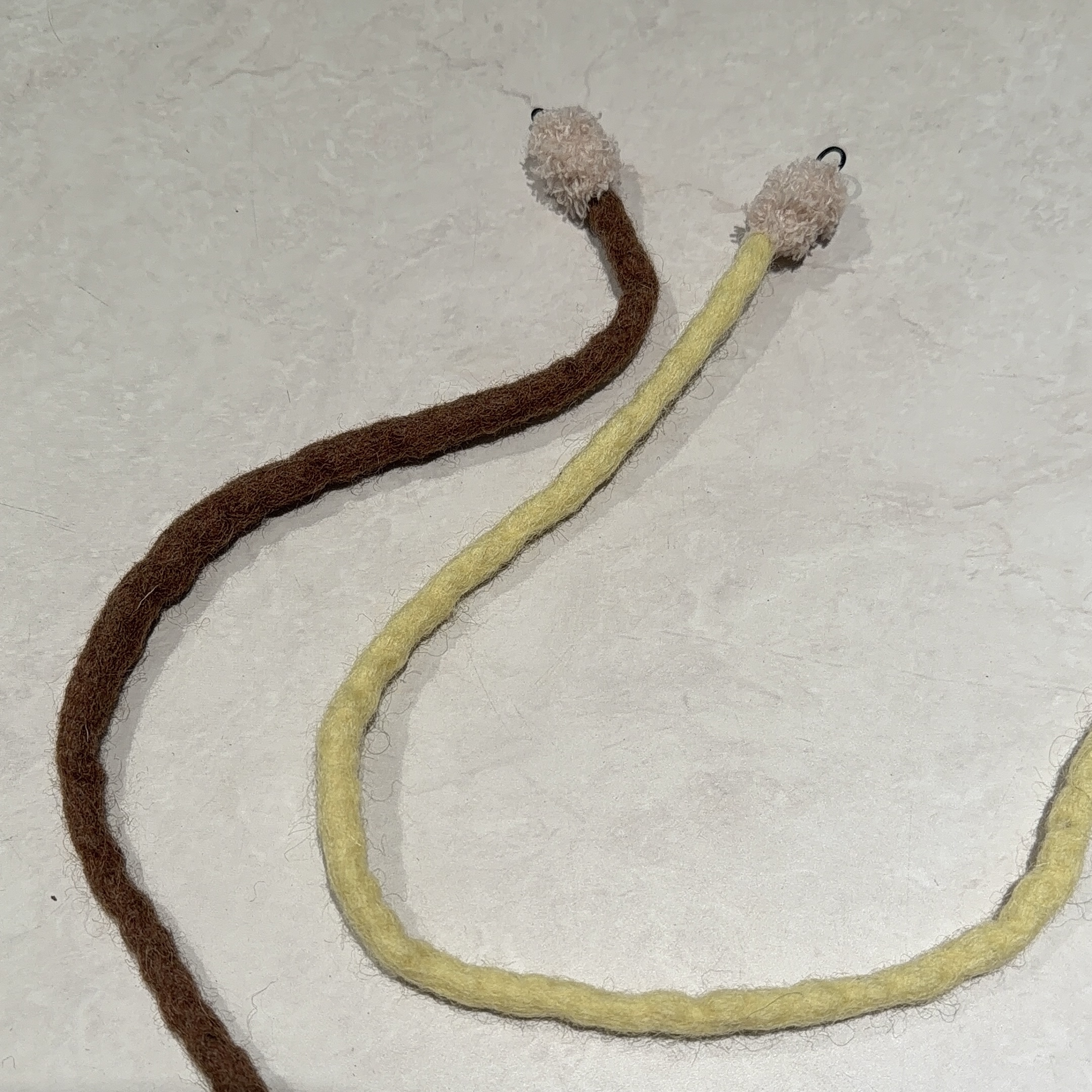 image_CDB09F5F-B665-408F-AAA0-9A4C589F67B1_1772874966