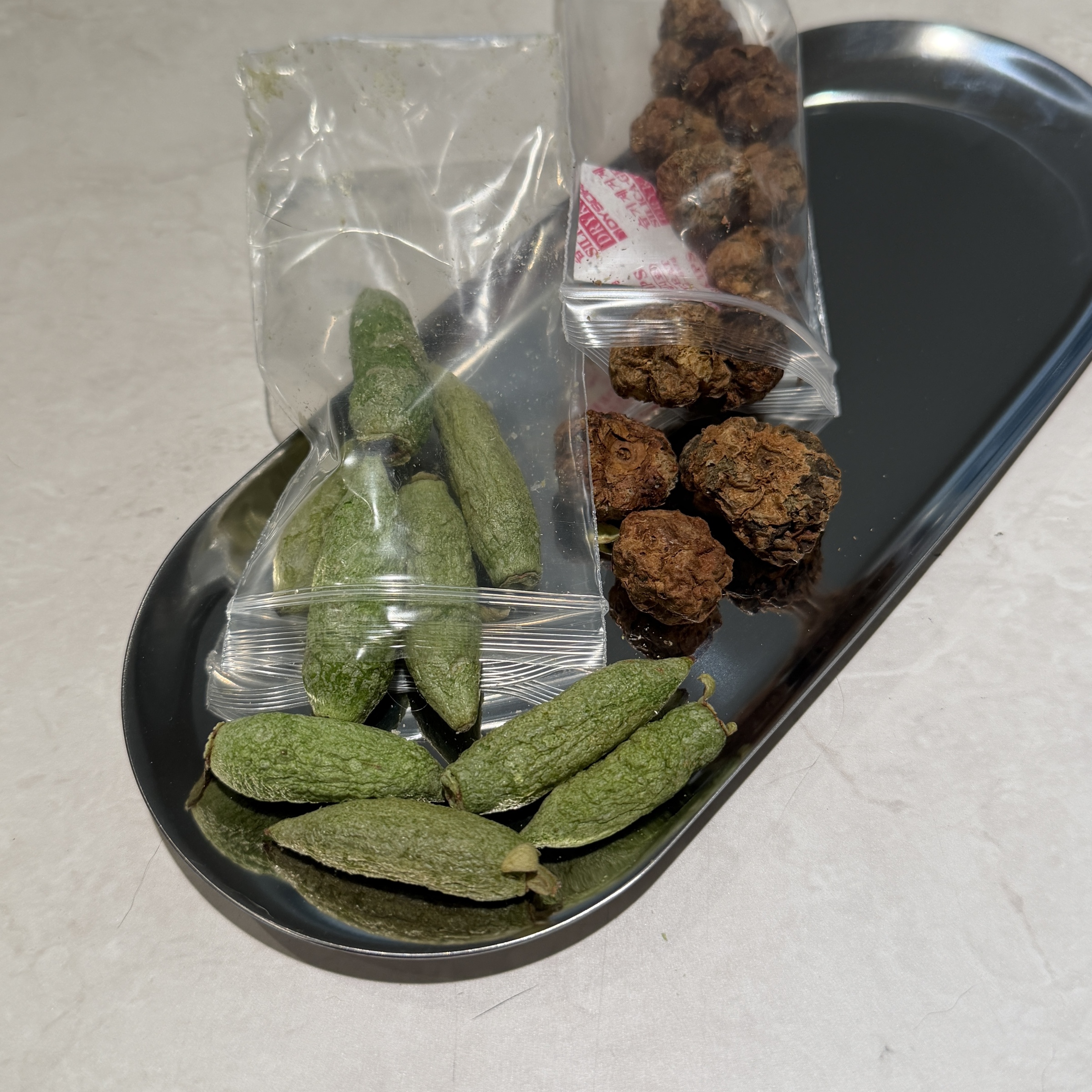 image_E0D8756C-AF11-478C-A433-F750129FD1AA_1774094180