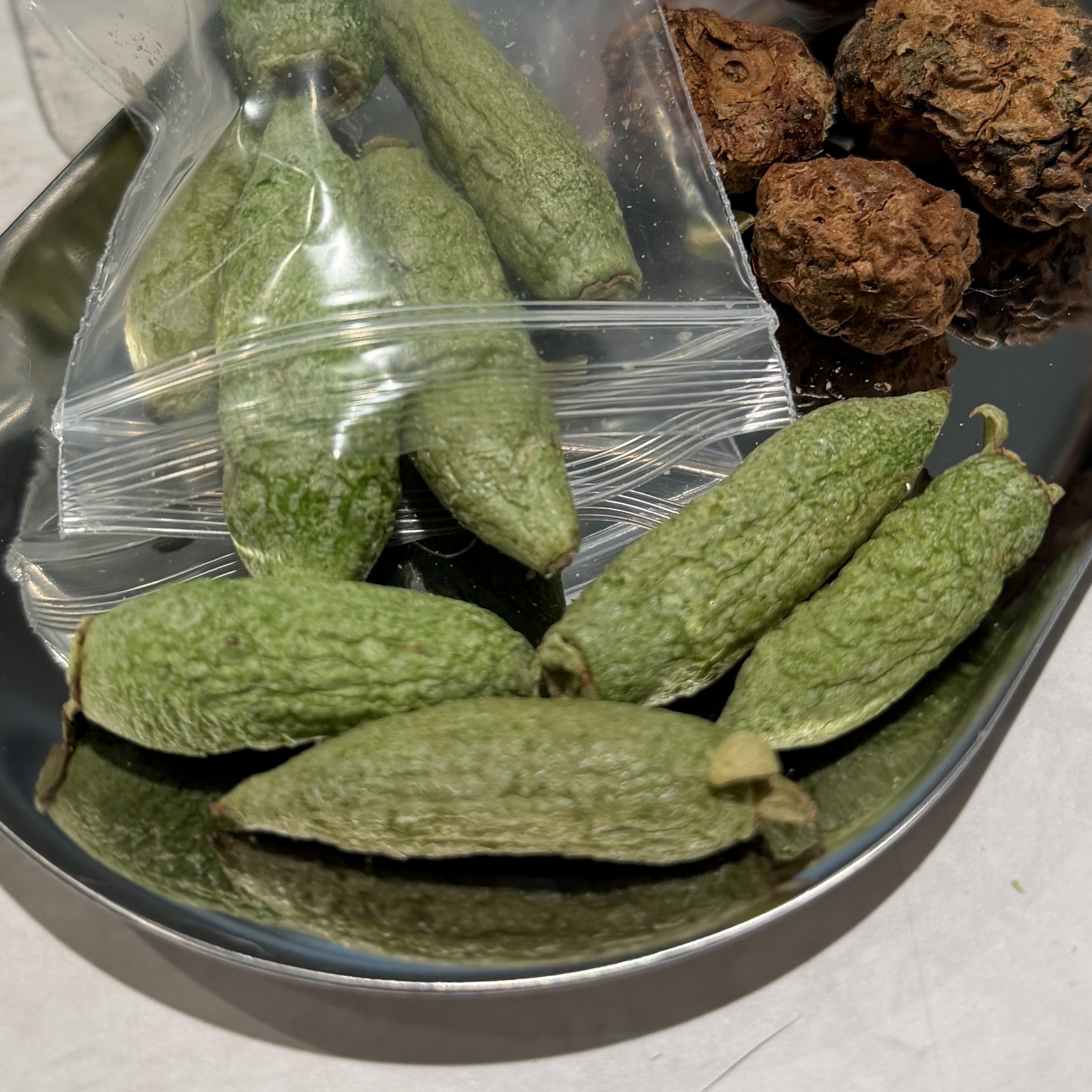 image_08E59B91-04A2-4728-AAF5-E27A3E27FA52_1774094242