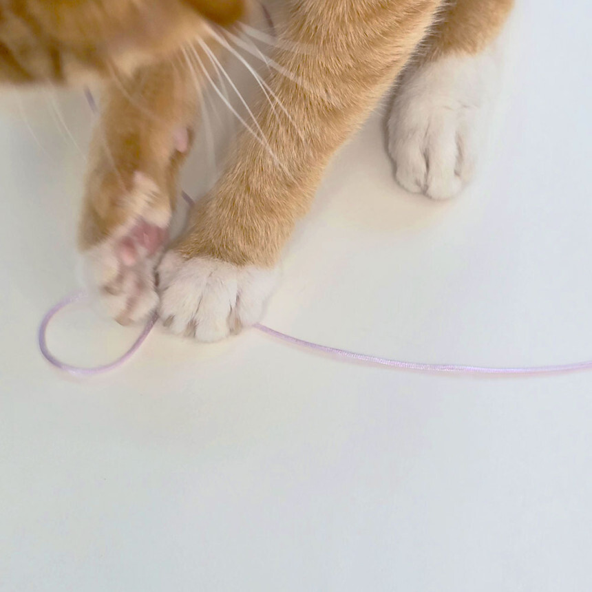 image_A6584BE1-74BE-40F0-B1A6-1A577E01BF4A_1774094485