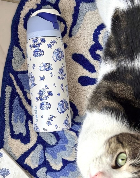 image_F1F0D538-A6E9-47BE-8221-9B8DA8BC0D05_1774356963