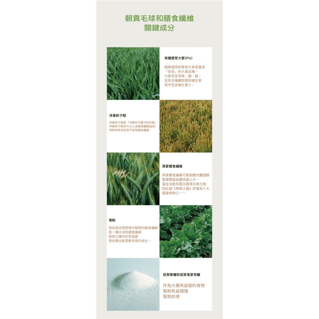 image_824EA3C9-32C5-45DB-A2E5-E4B94E8C5809_1775129933