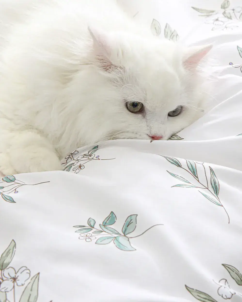 230901_acbedding_flower_02_07