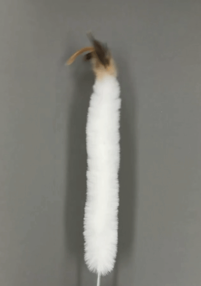 image_DCD3B8AD-BBD7-41DB-B24E-D32177662C80_1776180091