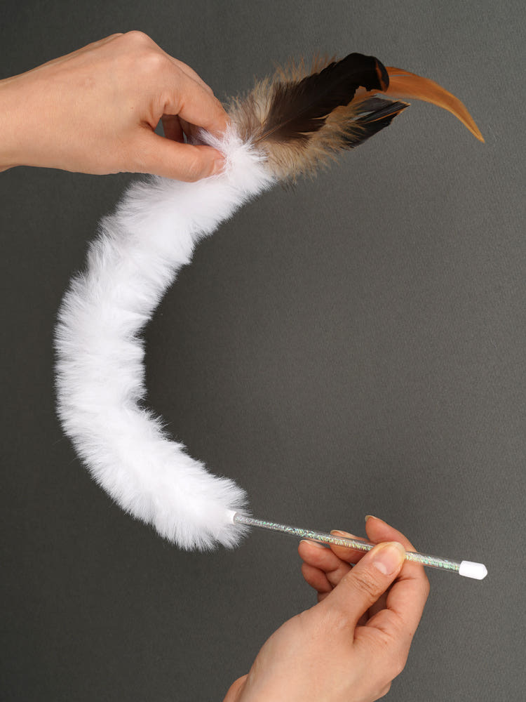 image_6EE445A1-86B1-44B9-BA1C-898AE017690D_1776180091