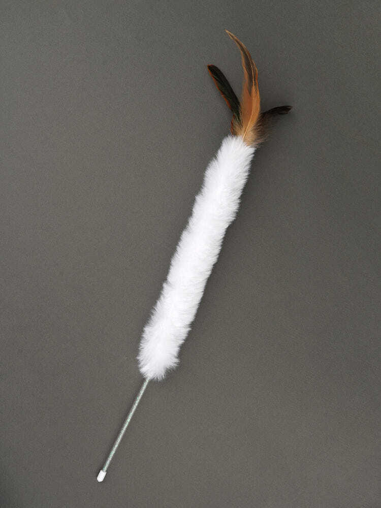 image_9AA20BBA-1F49-4D45-8337-75161DD05FE6_1776180091