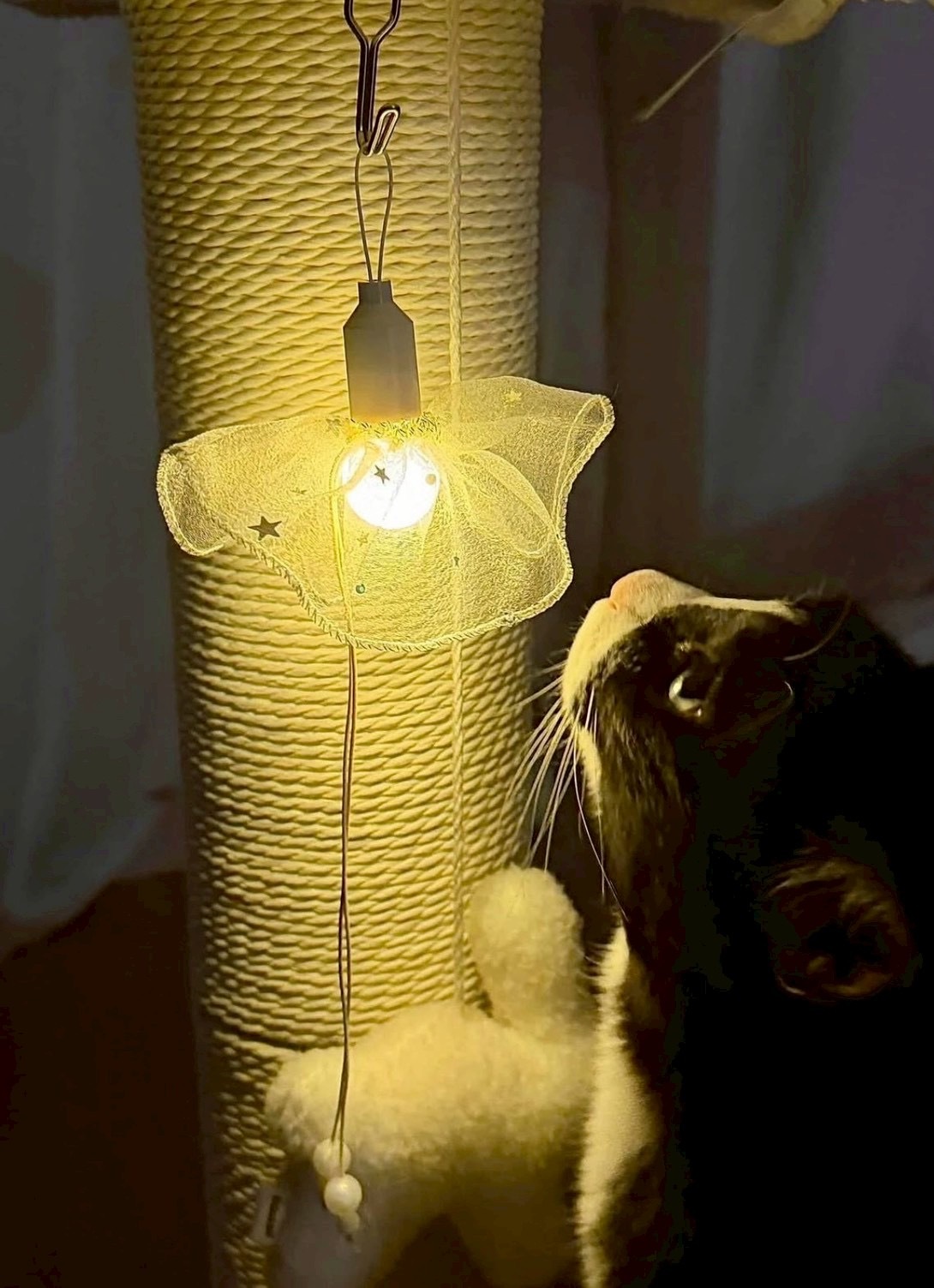 image_275A1544-3C19-42E6-B353-E55207E53BED_1776415556