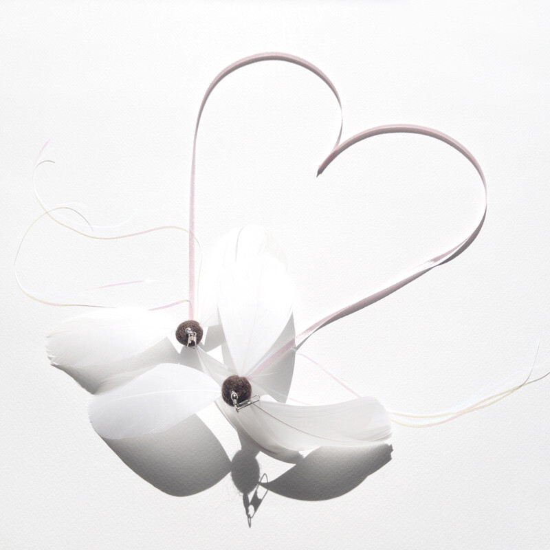 image_032A56E3-A450-4181-8F06-A4B5F9BA4D10_1776498775