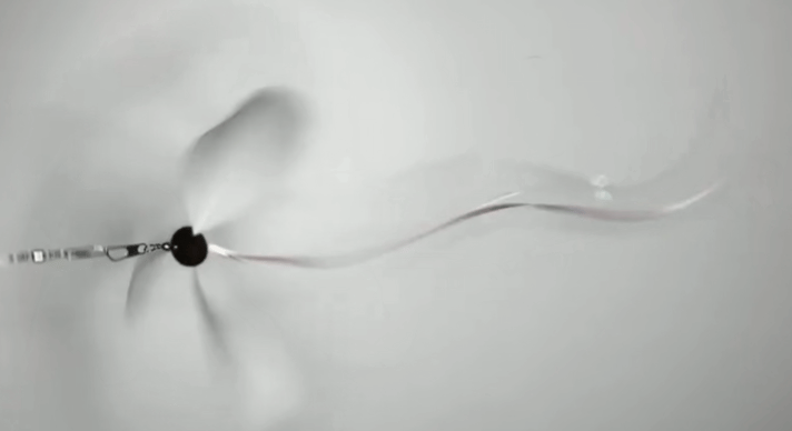 image_CB3F7EEB-B322-482C-AF2C-0E5F6553499F_1776499132