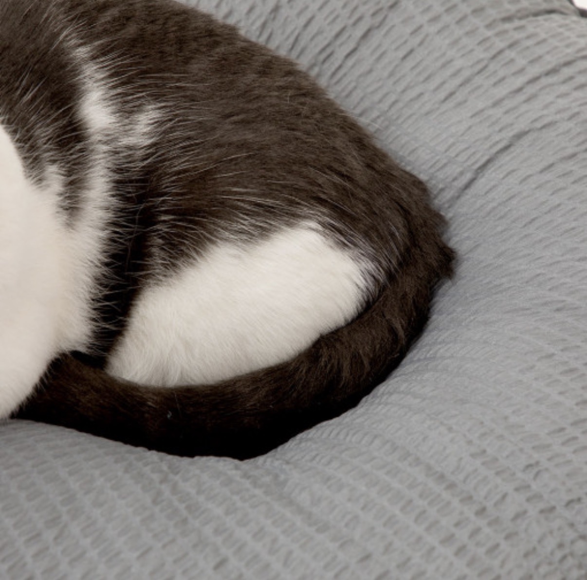 image_6933AFB2-57EC-4766-A7AD-5D232BAD4FD8_1776658545