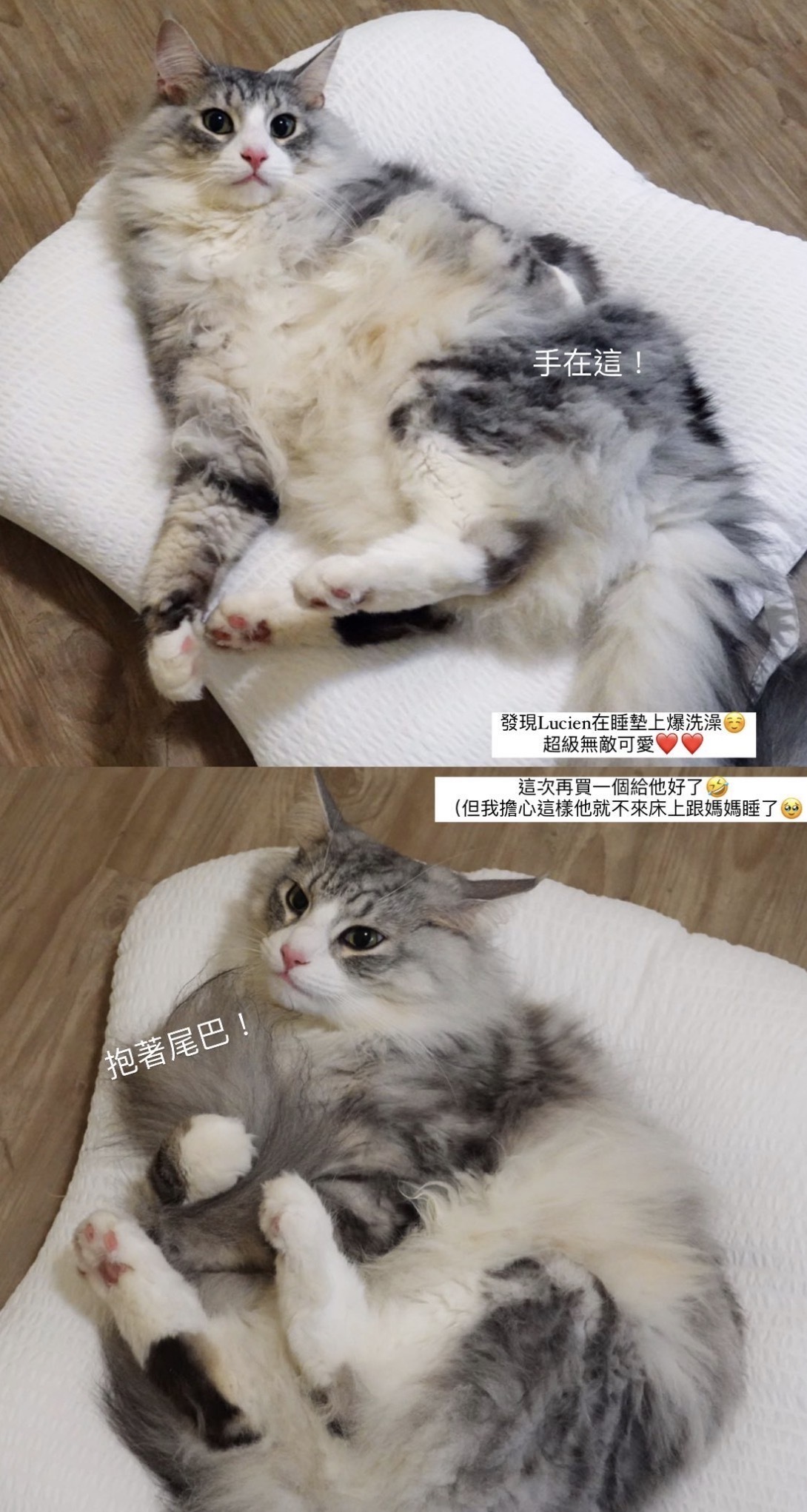 image_76EB6440-450F-4CAE-A5D6-2766314E1E95_1776658582