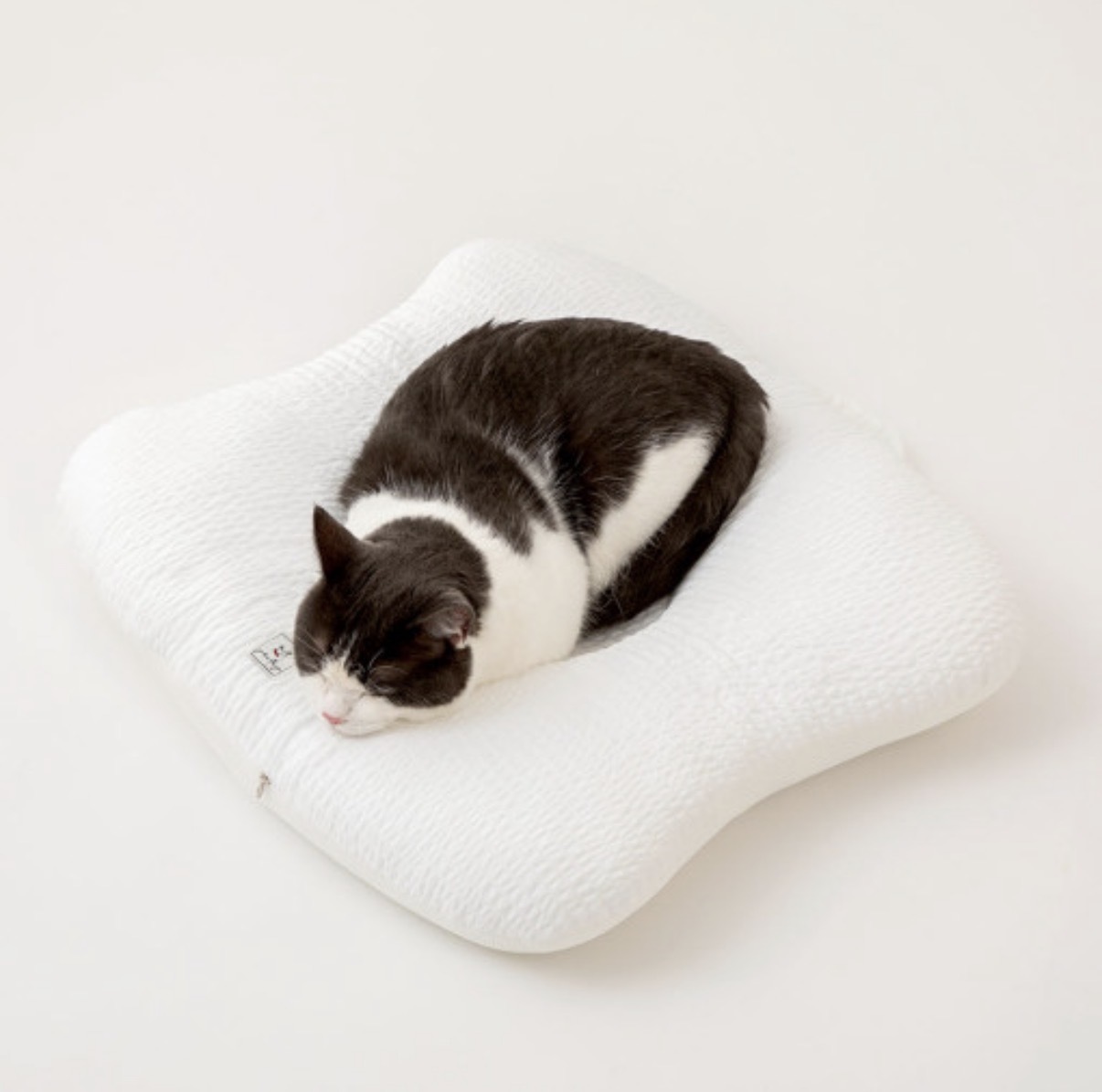 image_F22B95CF-A7F0-4B36-9D7F-6FDBB7619414_1776658620