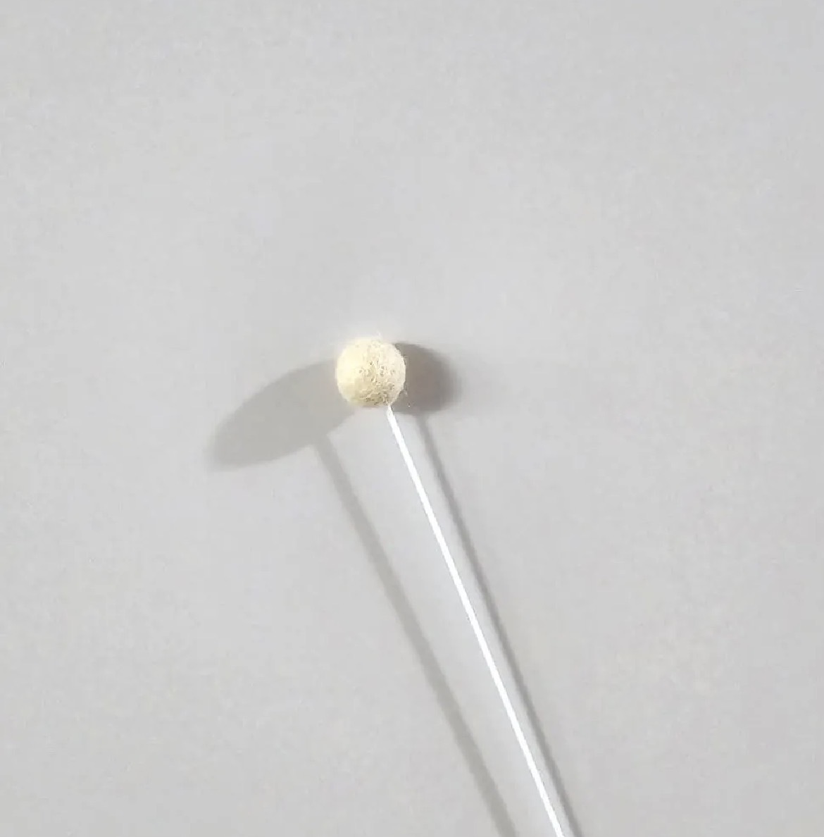 image_EC7D30E9-6F71-4EF8-A123-00B5F37CFCB4_1777106075