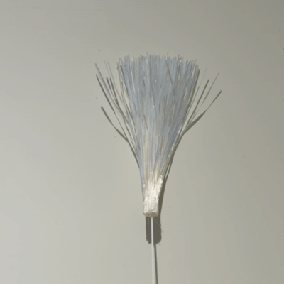 image_C037B2ED-1A07-46C8-B2A8-B40CBCA4D9E8_1777106982