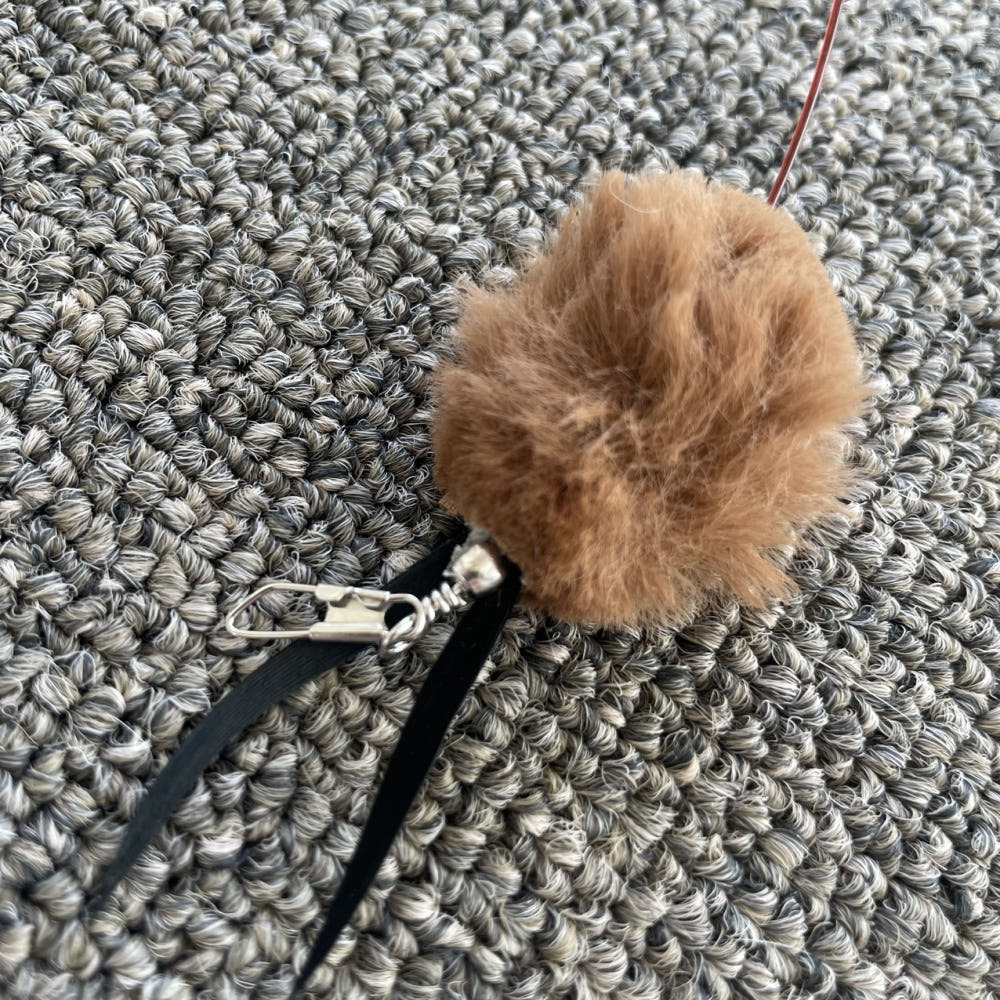 image_DE30BDF8-533C-4B81-B24B-95B87270EA7F_1777443642