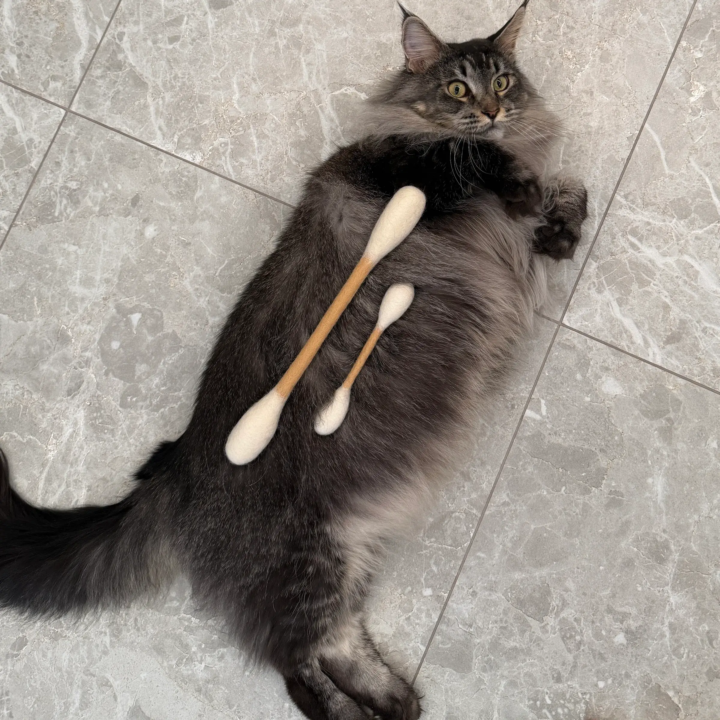 image_8DC5DCBC-D46B-420E-9EAA-9EEDFAA4DFF4_1774274029