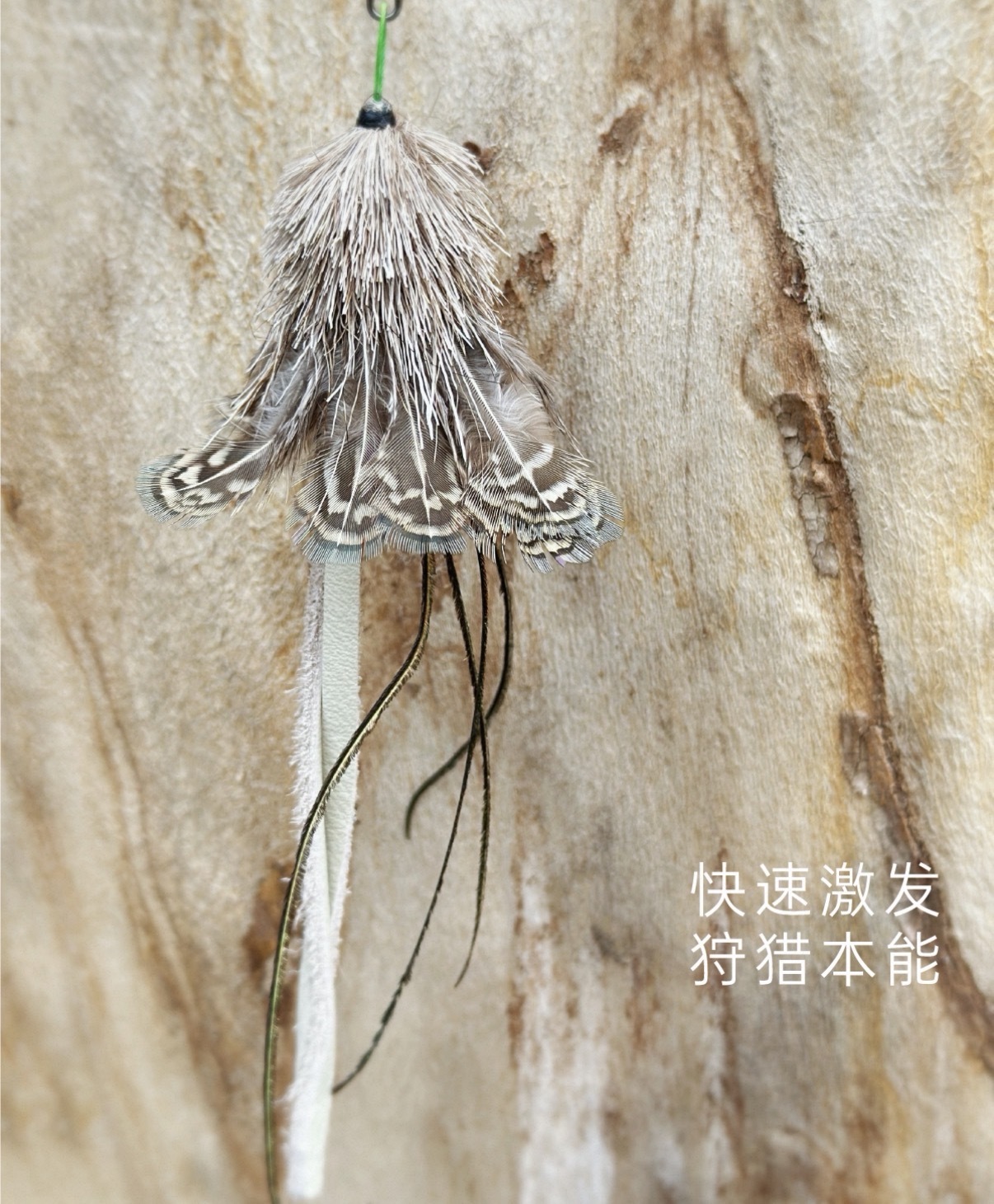 image_DF9A61D2-825E-41F3-839F-1B546A4B64BE_1777713296