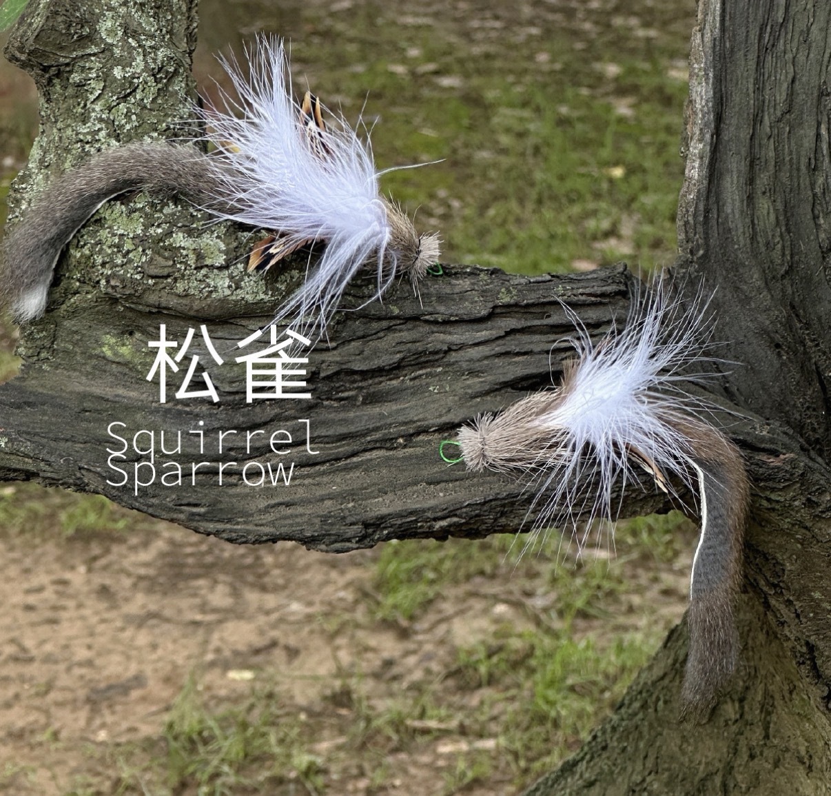 image_1F0CBD1F-BBD3-4053-A39C-0C4EAB76BB67_1777713569
